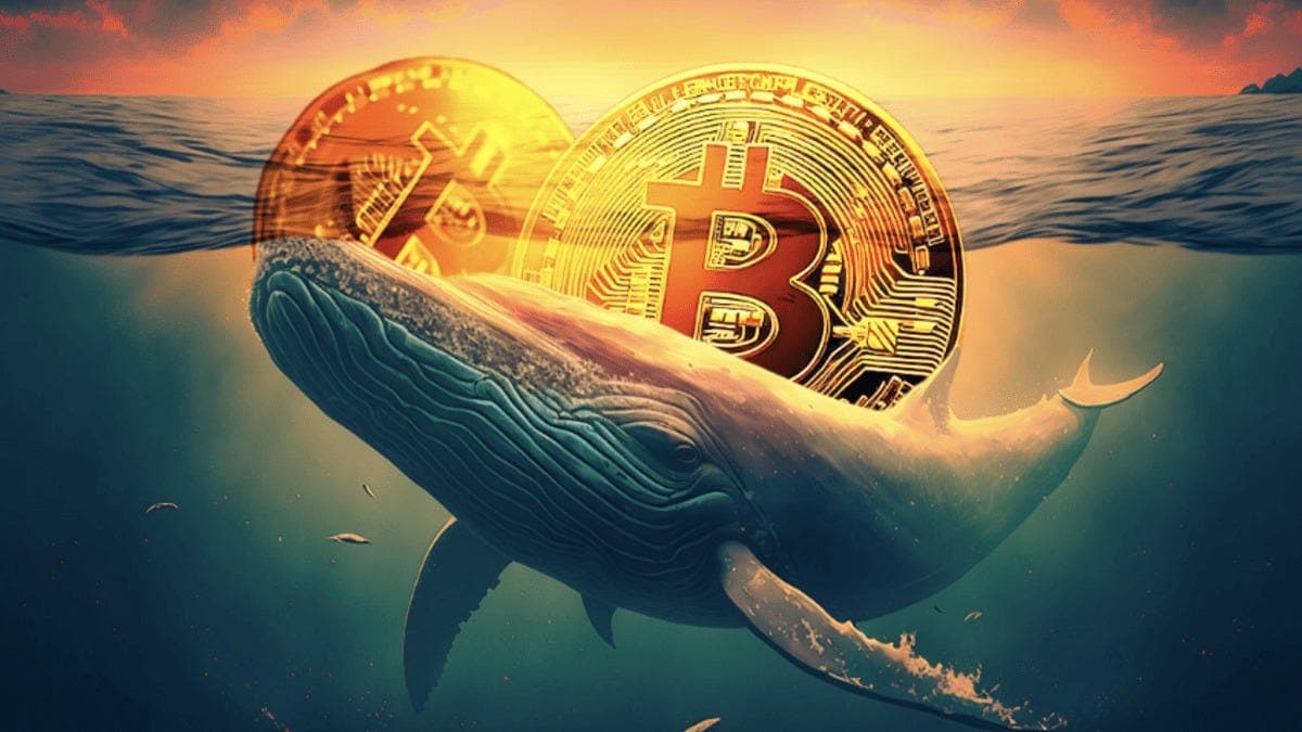 How to Track Solana Whale Wallets in 2026 (5 Free Methods)