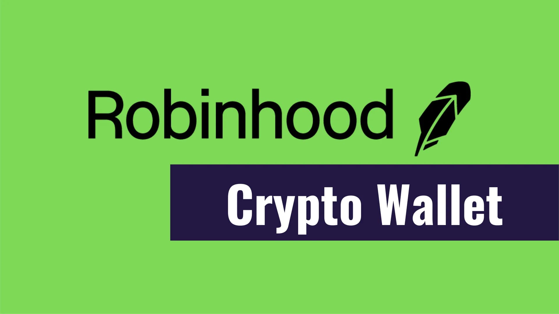 The 509 Profitable Wallets on Robinhood Chain Nobody's Tracking