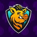 BetHog logo — Solana gaming tool