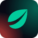 Bitfinex logo — Solana ecosystem tool