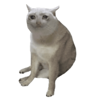 Cash Cat logo — Robinhood Chain Meme Tools tool