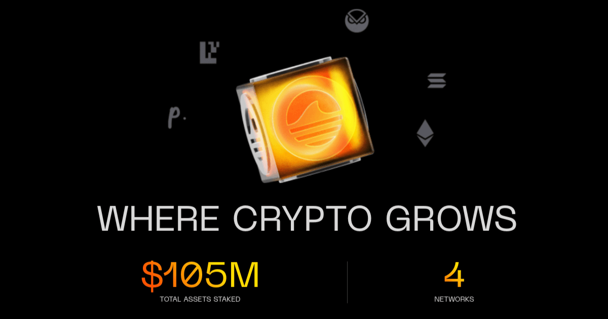 Orangefin logo — Solana Wallets tool